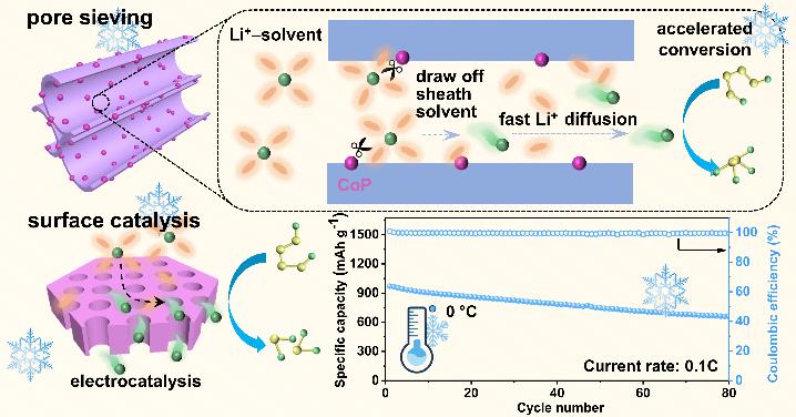 5d60cb1b-28b1-4eb1-aa41-e263958857fd 5d60cb1b-28b1-4eb1-aa41-e263958857fd