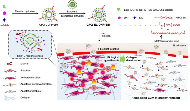 b8c3eaf3-7b2d-45e5-ae82-8dc8f18f653a