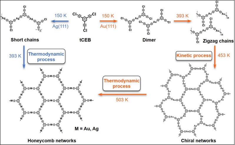 278e88eb-2bff-4fd3-a880-014189182936