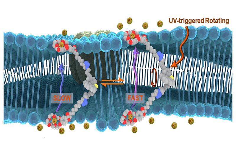 f94c10df-1dee-425a-9eb8-221423fe5afc