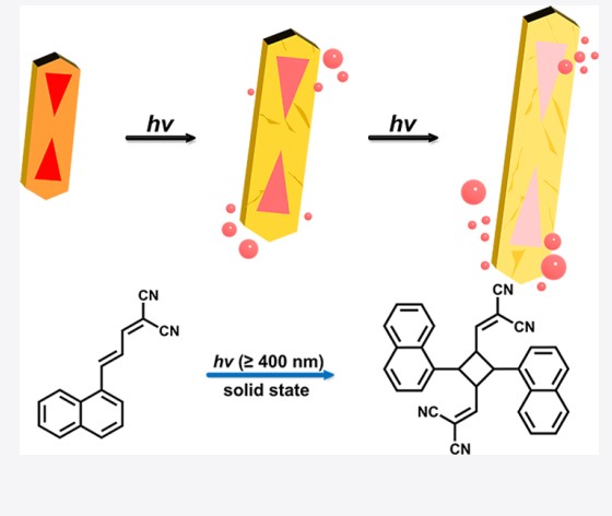 5161d5b2-56f5-471e-9990-042ceff48d53 5161d5b2-56f5-471e-9990-042ceff48d53