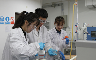 49ff8ba6-5c6d-4e9a-8786-cbd372558daa