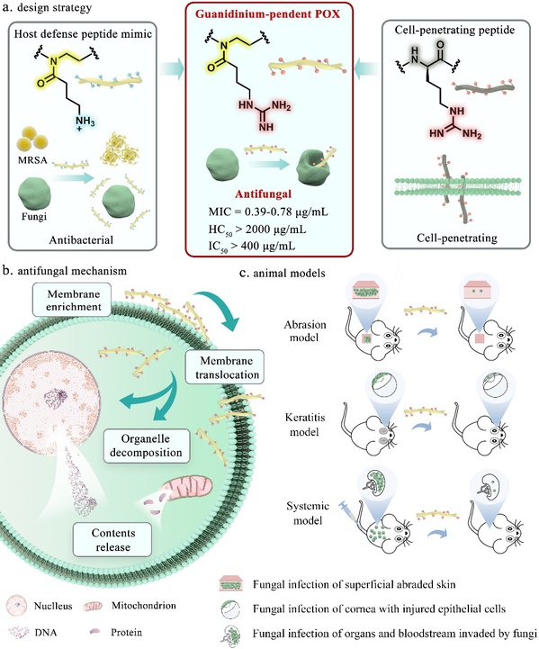 ec60f363-3212-4bf9-9da0-4badae7ef8e3
