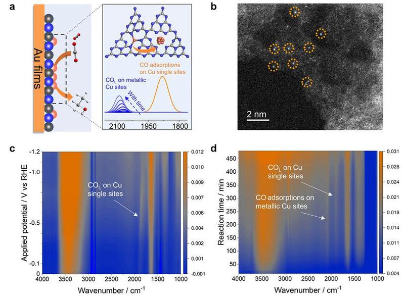 fcaf7355-e1a3-4bce-9624-e1cec208e096