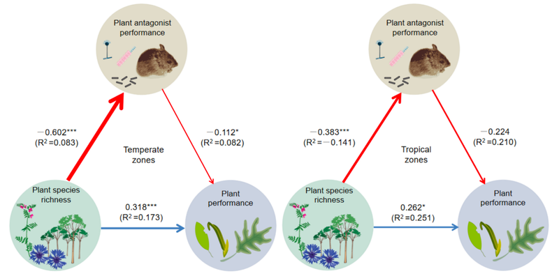 7f45f2ef-86f6-4b63-a47e-c14fa055f597