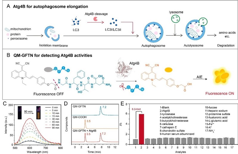 9dacfc98-f4b2-40c2-a9b2-c1136da2c95d