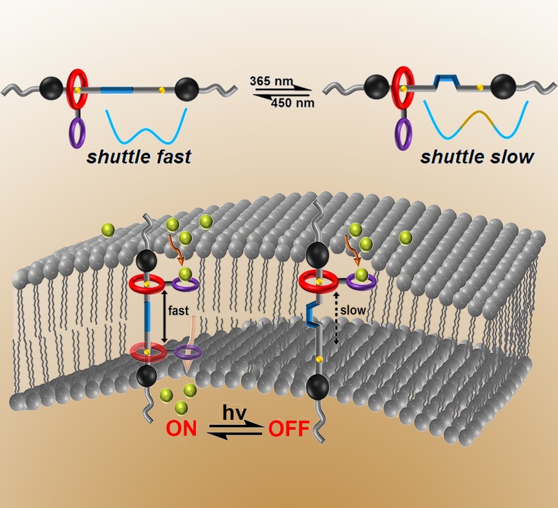 15e3eaff-7f53-4591-bcad-8f77179fa1f5