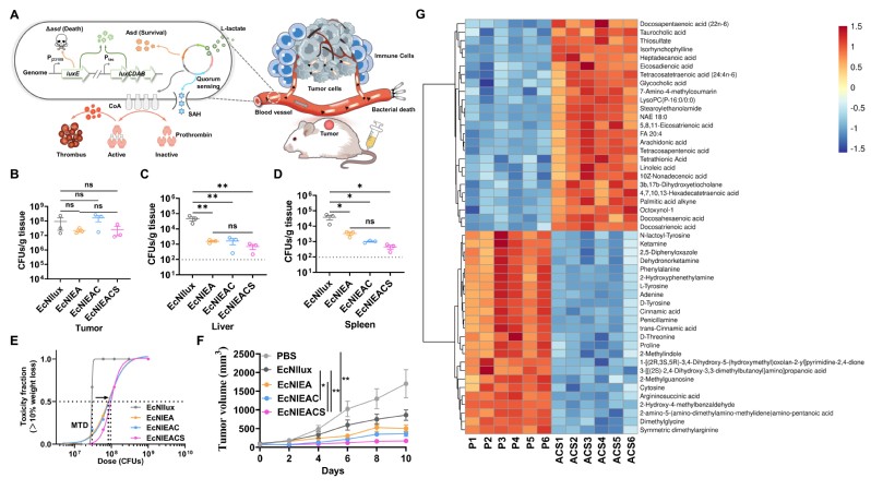 66fcdcd4-3950-48d8-b220-967076b93064