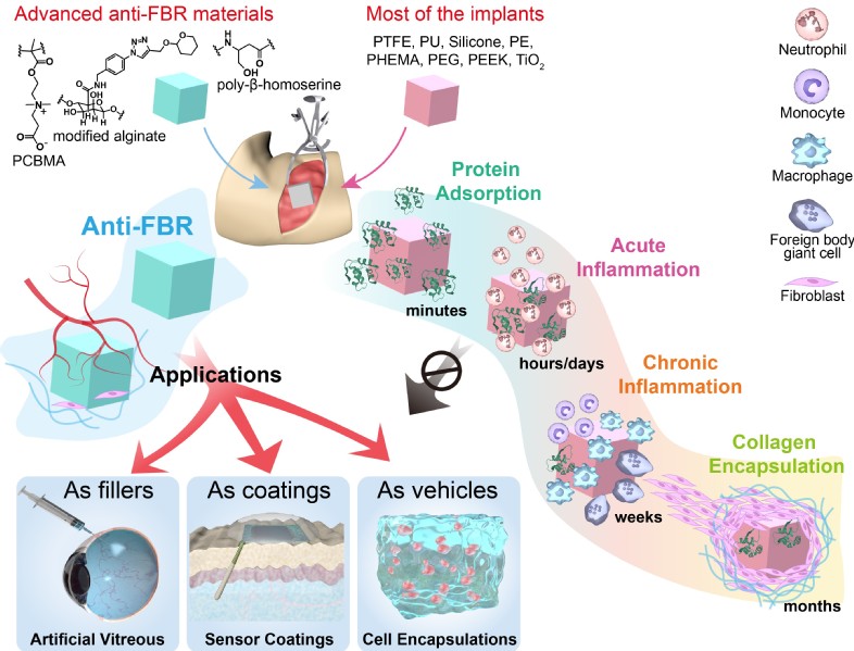 70694e2c-85dd-450d-bef6-cf131ef884bc
