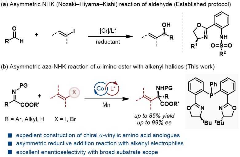 f82bac99-8bb0-44d6-b223-c4077a844556