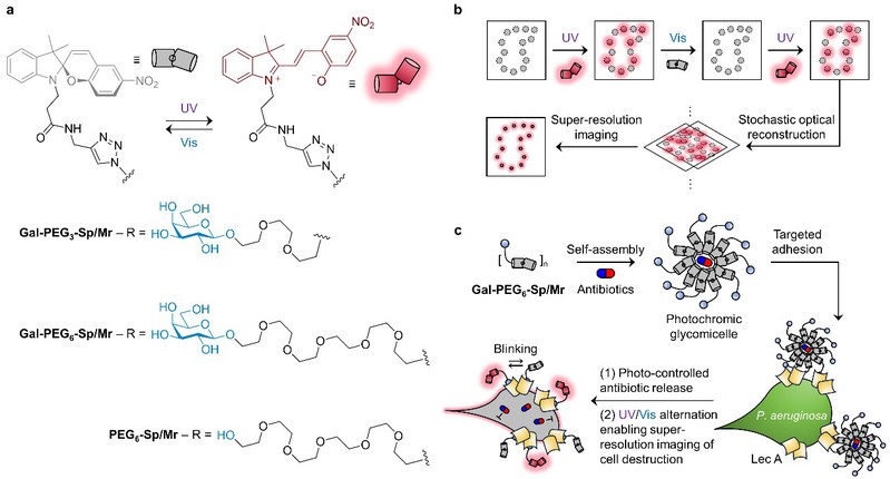 6864cbf8-f95c-483f-9a70-9140fd6a65a9 6864cbf8-f95c-483f-9a70-9140fd6a65a9
