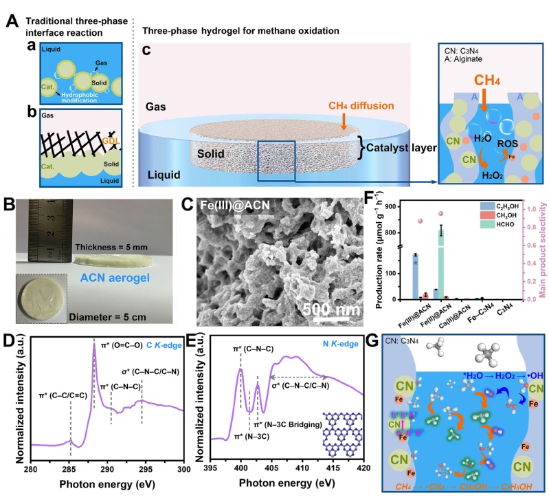 b5f04606-f779-41b8-887c-798641170eb6