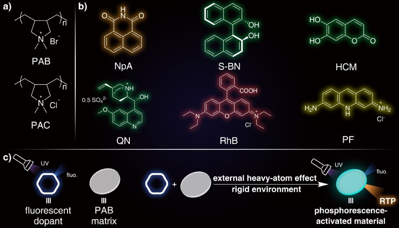 8fa40de4-950b-43f0-9ecc-60cbf319bd56