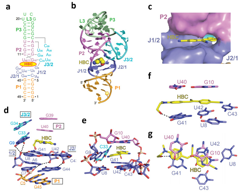 5b525fc4-1cfe-4afc-89bc-943625216ce7