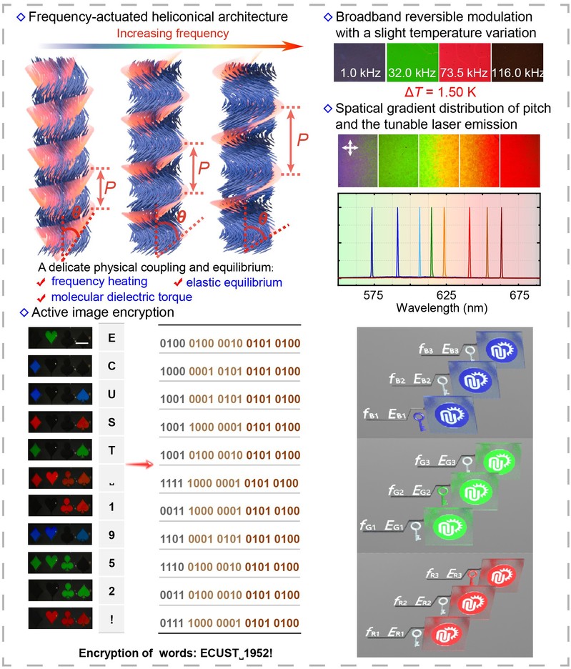 91da84d6-6d8b-4afa-98bc-576799c1118b