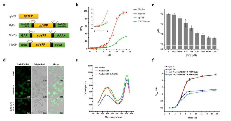 abf1fa50-53fe-4d76-8df2-5c043c7bc19c
