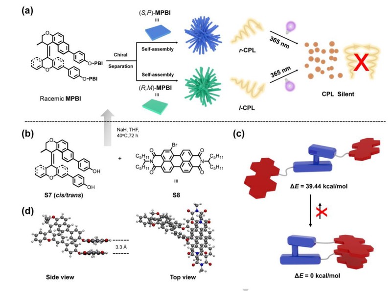 2352244a-59f7-46cd-a4d0-4a497804cb5a