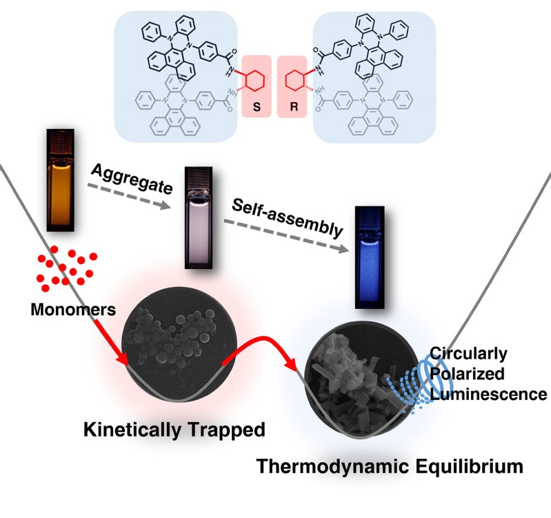 cbc584b2-746d-42ac-ab7d-b82f980c11f5