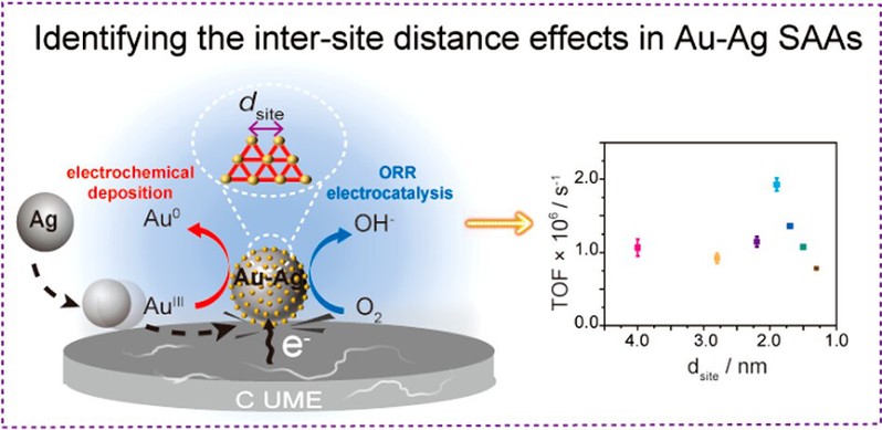 7e5bc2fc-96ac-402b-a086-39cf40000306 7e5bc2fc-96ac-402b-a086-39cf40000306