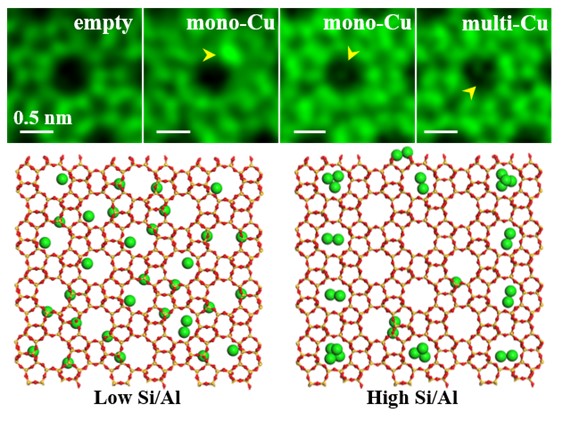 ca6e2eb2-ca04-46d5-a784-1b7aaf8a9087