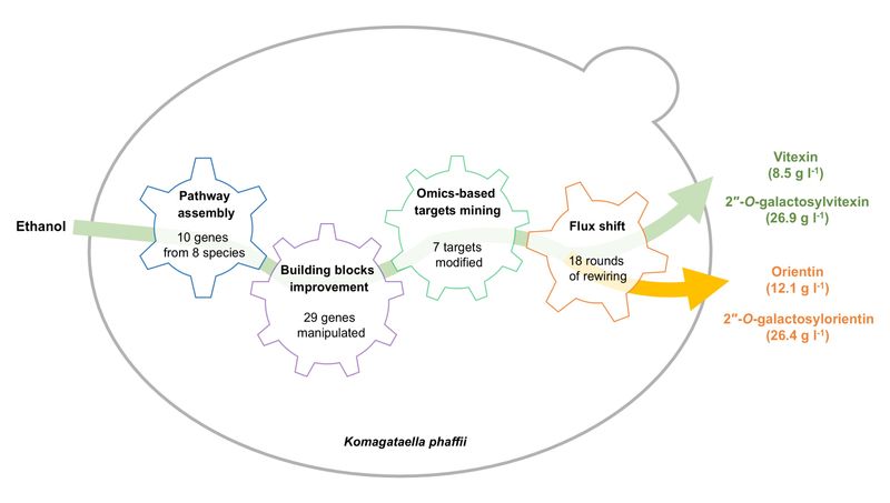 64e99687-4591-4930-8e03-5674560ad773