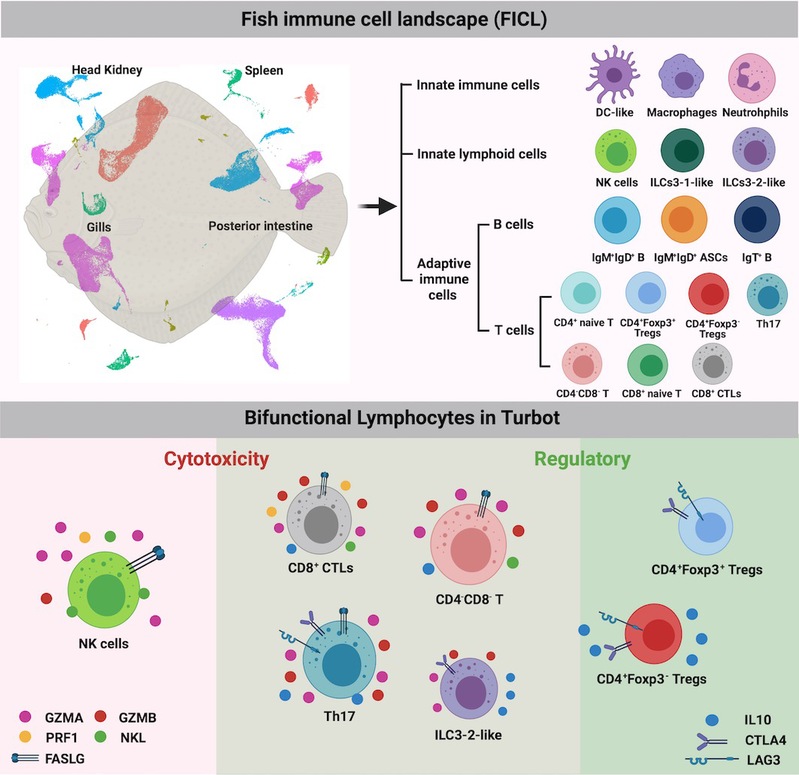 56fc2118-e85e-4950-9e7e-347375953607