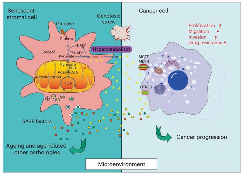 54b8fec4-cb87-4e46-b364-7b441112c7ac