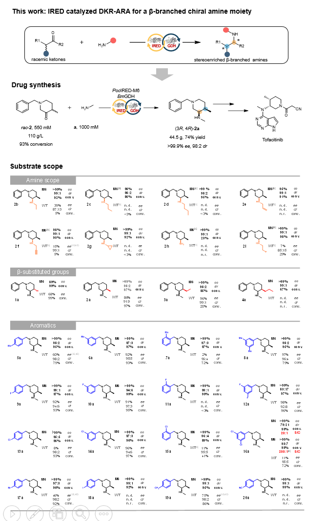 89556a06-491b-4422-9423-808ec33e9c4b