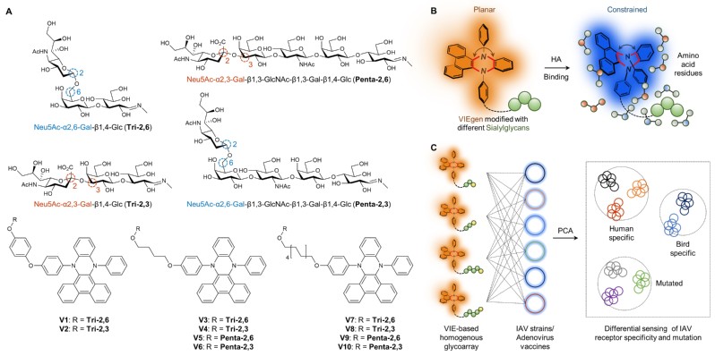 6f13c700-447f-4245-84d6-21f3f1da199e 6f13c700-447f-4245-84d6-21f3f1da199e