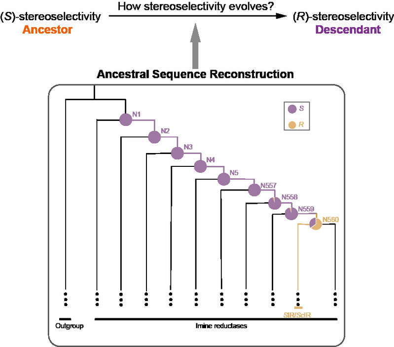 d232745f-84bf-409d-9337-1a68ae9ca3c0
