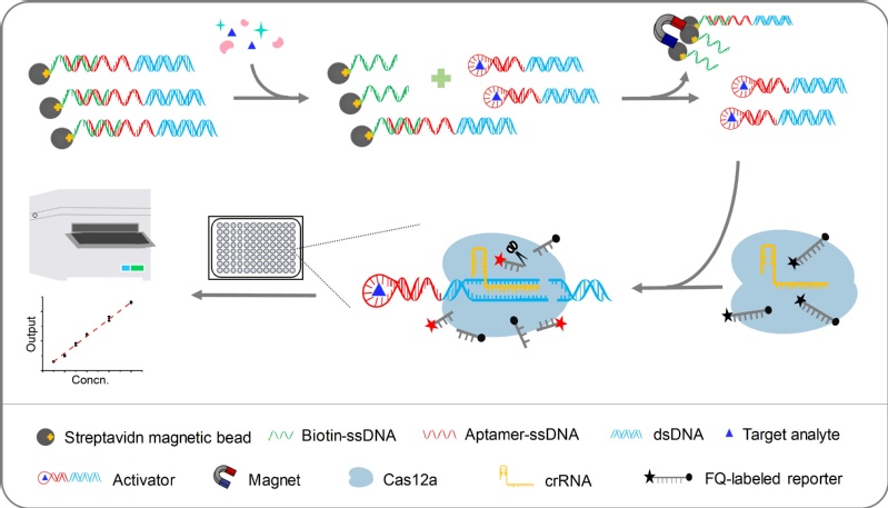 91dadc0f-6abc-443f-95af-dd2d9e414b5d