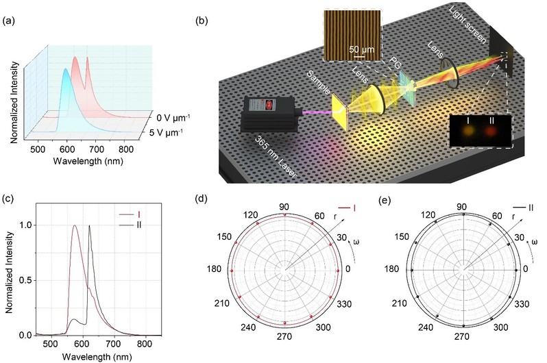 59f12a11-4e10-42df-ad7d-2d69a5e91cf5