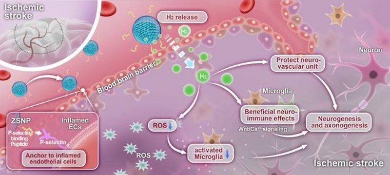 fdc8ac58-4e75-4bd3-83bc-76b211023041
