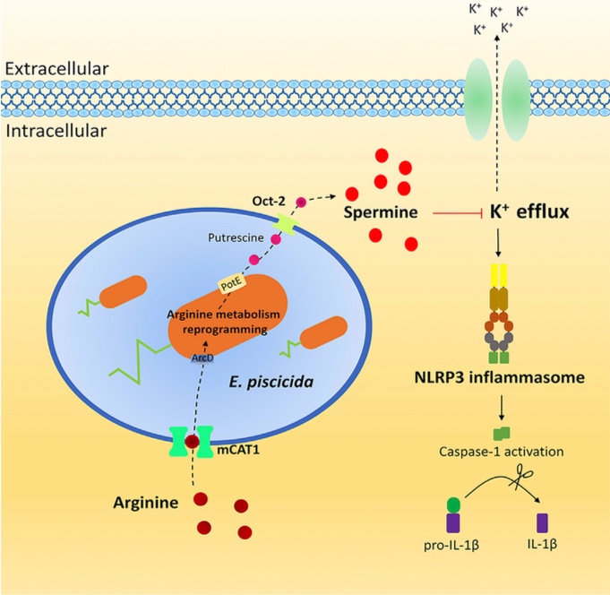 986dcd9d-6232-4dcf-b278-163ad0024613