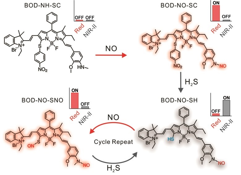 d42fbf6a-5153-4775-a962-d9e385afe230