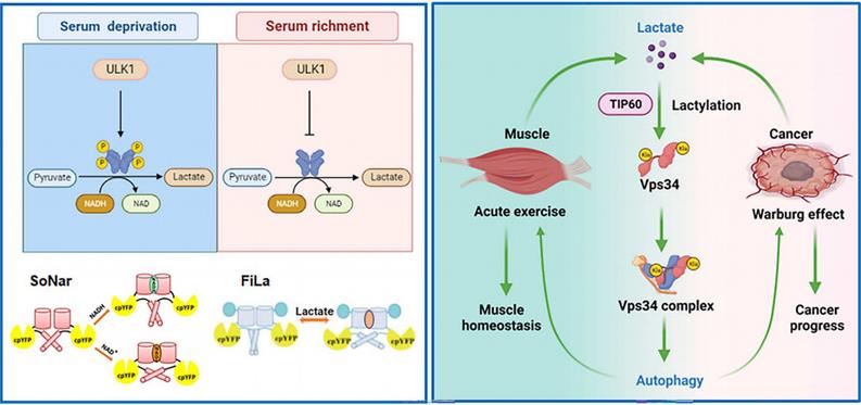 c55118b9-5bc8-4c2b-ab0f-561fc55f3ecc