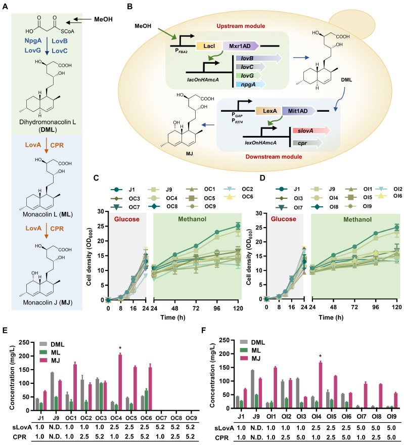 2cdb86be-f771-459f-ab32-259d6f30a311