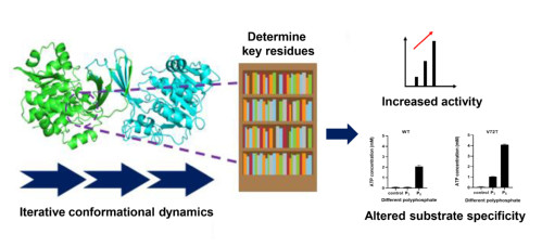 b93bad6c-cdc6-45fd-93ae-8864574ccd7a