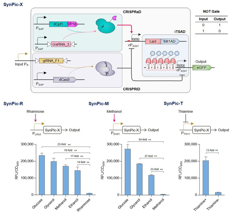 fe7785bc-4213-4323-8009-c29f34b0d74f