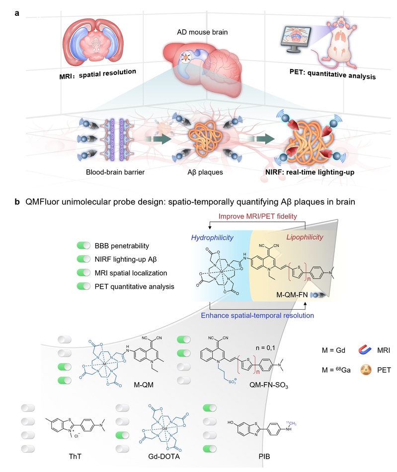 61a94ee1-85af-471c-923b-ca911be8fdb3