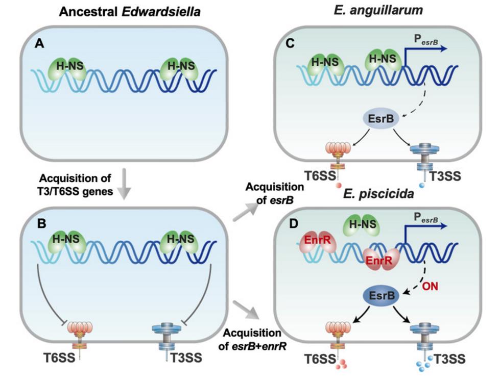 282a28ad-071a-46e0-a39c-d630d9c819b2 282a28ad-071a-46e0-a39c-d630d9c819b2