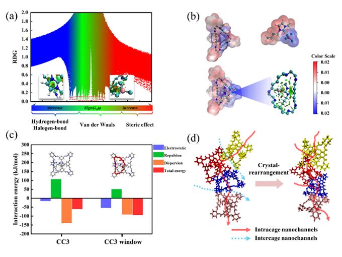 d35e88f3-7f52-4a0d-acb6-39fa06a76602