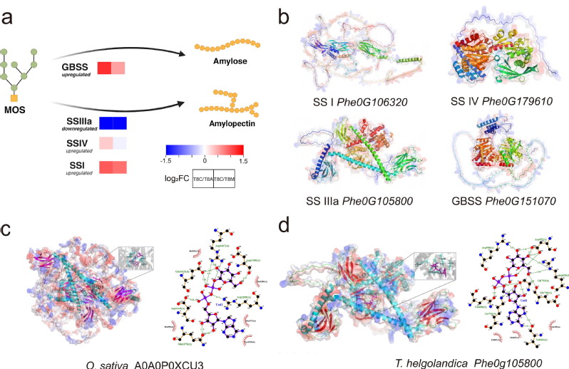 cb0ab368-5dec-43f9-8d70-d30a2cd0d50c