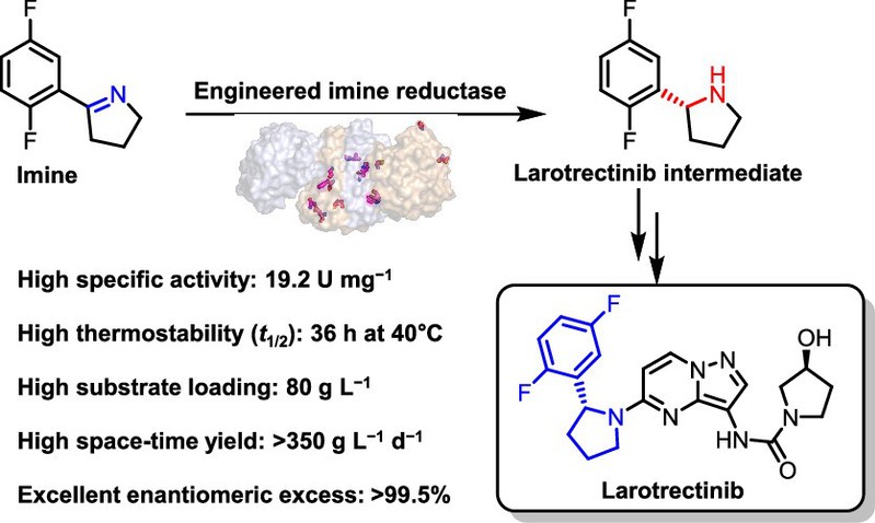 3d7aeb05-a6ee-4992-878a-2110ba506574