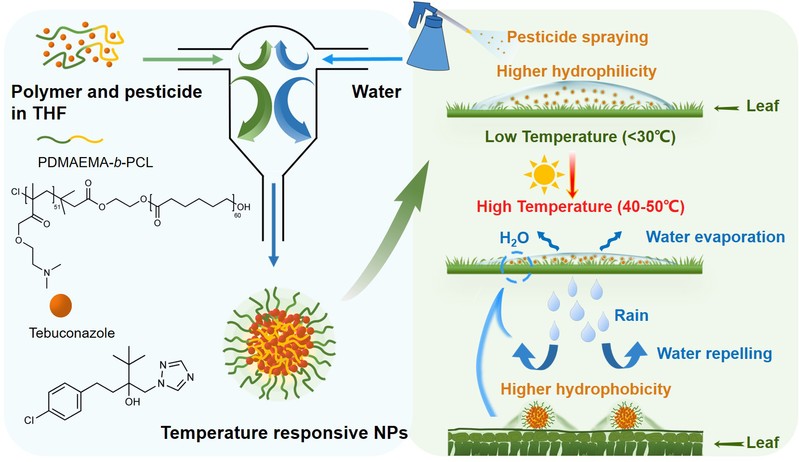 19c0b16c-ec78-4a82-9ee3-dbd845074e4d