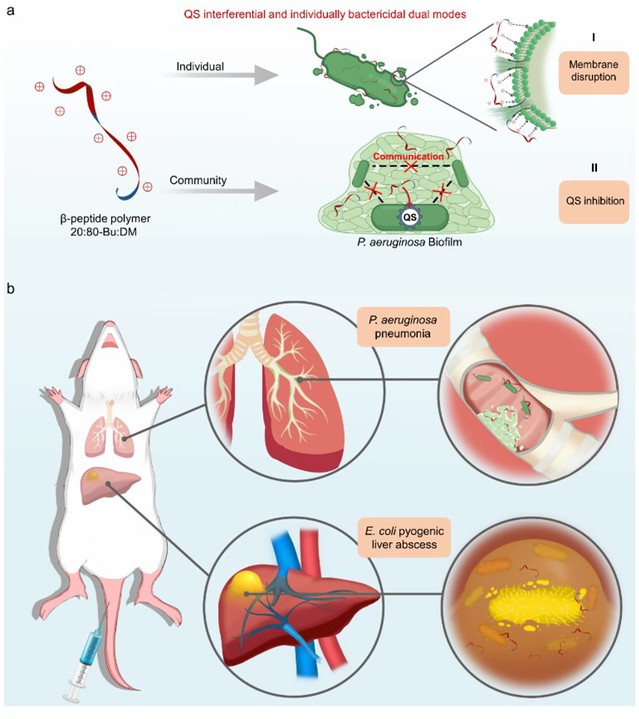 62e8a592-8e96-492d-bbdc-e94108d3dc03