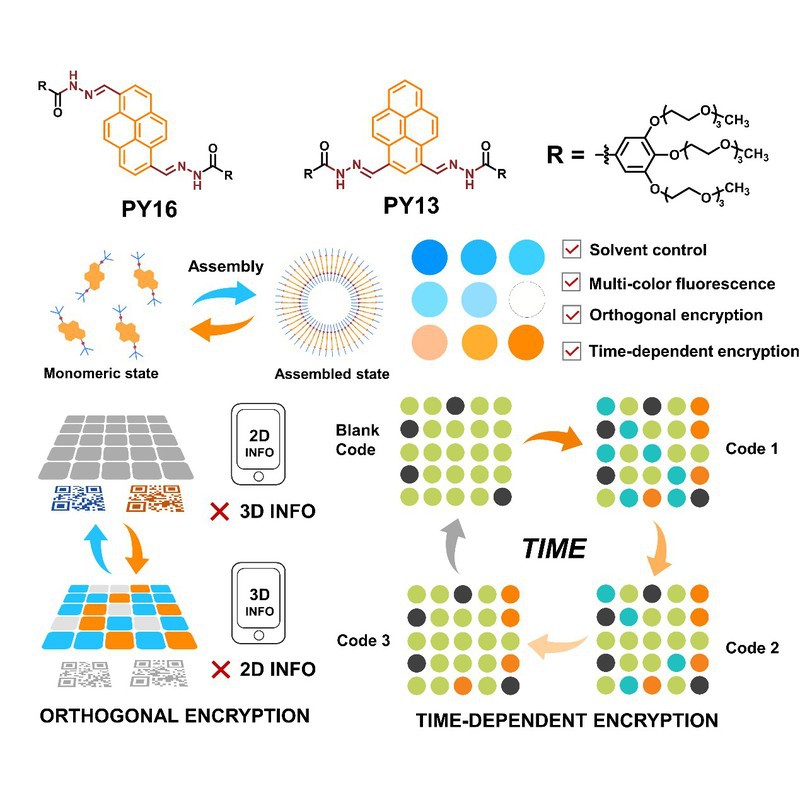 2778e973-f972-44ce-baa2-be0add820f8c