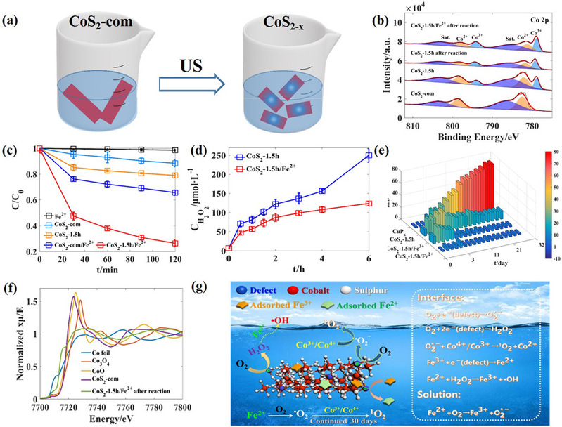 f91d09c8-3597-49c1-9ea0-6085af35b217