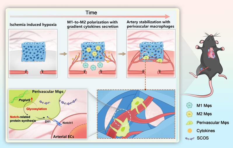 e805a6e2-f9a0-4e6f-b410-b30dfbb033a9