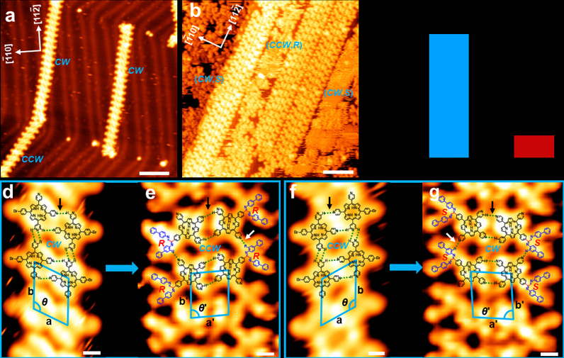 dec7ff11-831b-4bec-ab36-c3ddf16e1d3a